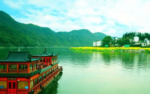 独特科技高端